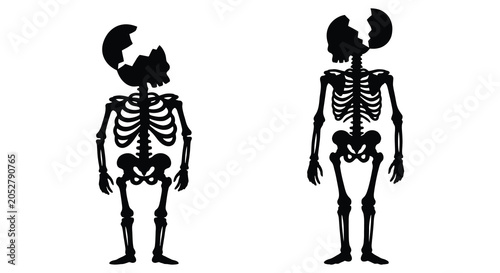 Schilderij op canvas Two human skeletal structures depicted as black silhouettes against a white back