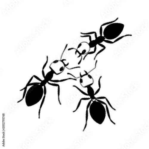 Detailed black and white illustration of ants interacting