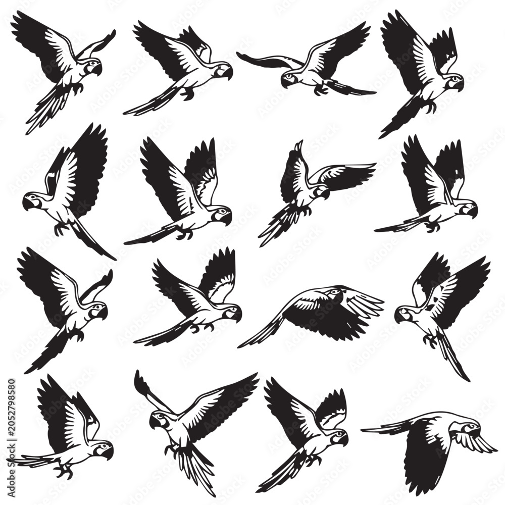 Obraz premium Parrot silhouettes in dynamic flight poses against a white background for graphic design
