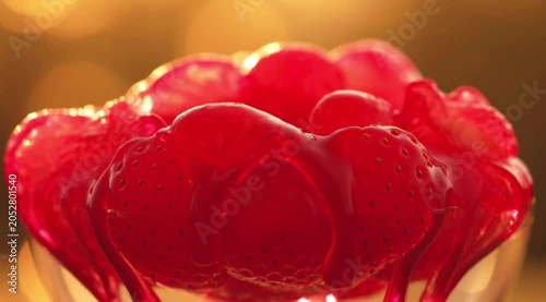 Red Tulip Flower with Water Droplets and Red Petals Close Up