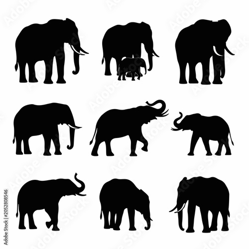 Photography Collection of elephant forms with elegant silhouette design