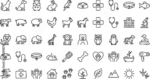 Photography Collection of veterinary and domestic animal icons for pet care and wildlife ser