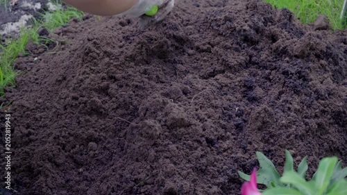 Mixing soil with fertilizer using a hand shovel and a hand fork close up, agriculture. The Video was taken from above.