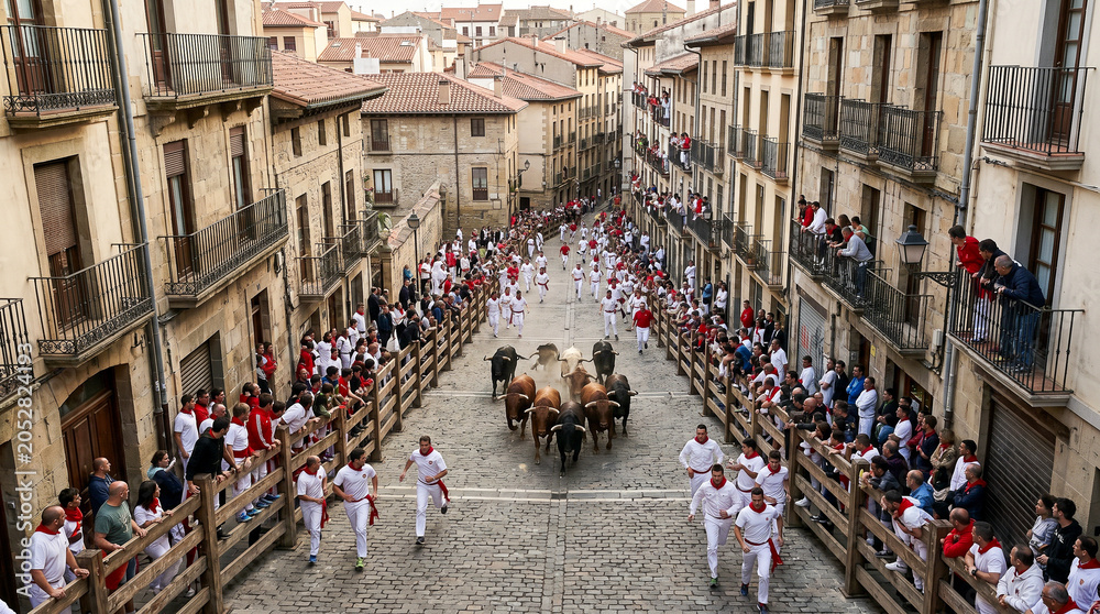 Obraz premium Perspectiva aérea de un encierro tradicional recorriendo calles históricas.