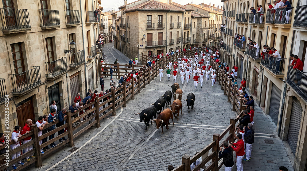 Obraz premium Perspectiva aérea de un encierro tradicional recorriendo calles históricas.