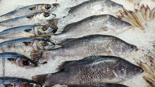 Fresh whole barramundi, mackerel, and small sillago fish displayed together on crushed ice at a supermarket seafood counter.