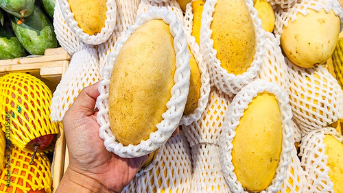Ripe yellow mangoes individually wrapped in protective white foam mesh sleeves on display at a supermarket fruit counter.