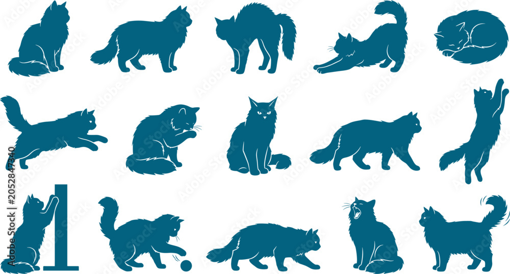Fototapeta premium Extensive pack containing fluffy long haired cat silhouettes representing various common feline movements and actions