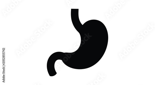 Εκτύπωση καμβά Stomach Silhouette On White Background Anatomy Illustration