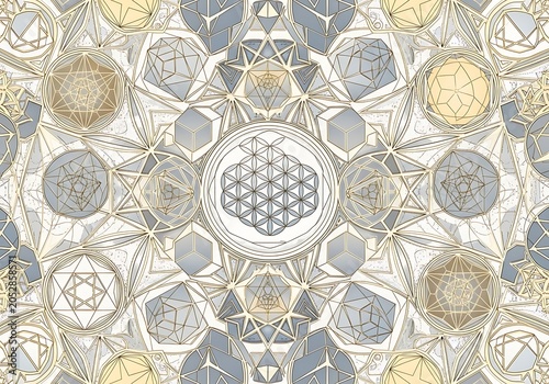 Sacred geometry pattern with flower of life and platonic solids