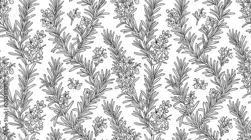 A seamless natural pattern featuring outlined rosemary plants and blossoms, hand‑drawn in a vintage style, set against a monochrome vector background