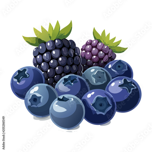 Cluster of fresh sweet blueberries and ripe blackberries with green leaves perfect fruit ingredient for dessert healthy snack option - Vector Illustration