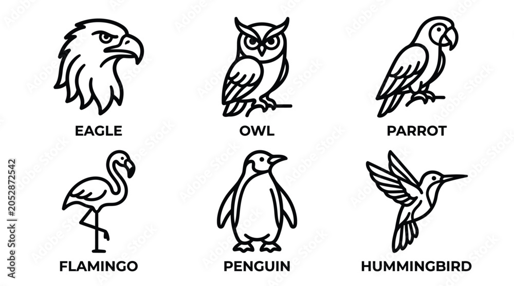 Obraz premium Birds including eagles, owls, parrots, flamingos, penguins, and hummingbirds are featured in this set of six line art icons.