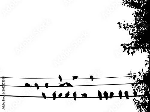 A black and white illustration of birds on a wire.
