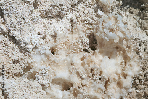 Close-up of Salt Crust on the Surface of Salar de Atacama Salt Flat, the Largest Chilean Salt Flat in Antofagasta Region, Northern Chile, South America