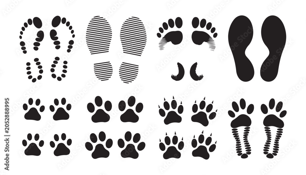 Fototapeta premium Set of diverse footprints including human barefoot and various animal paw prints for creative design.