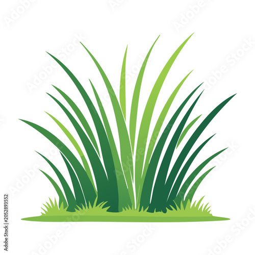 Flat design illustration of green grass
