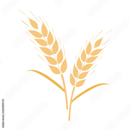 Minimalist wheat illustration on transparent background