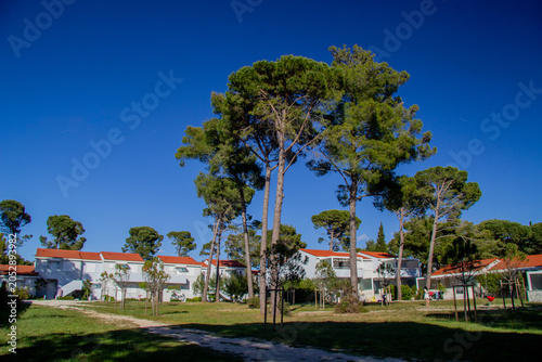 Zaton Holiday Resort in Croatia with appartments and big trees