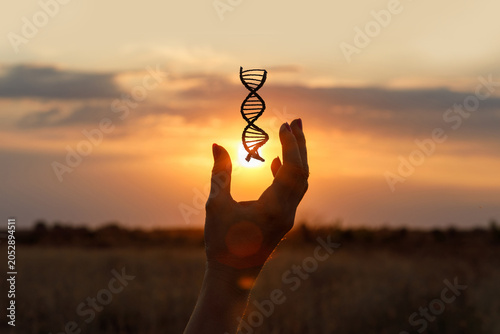 Holding the essence of life
