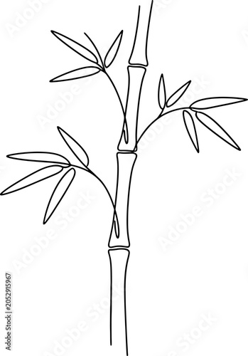 729_Bamboo branch outline co_traced