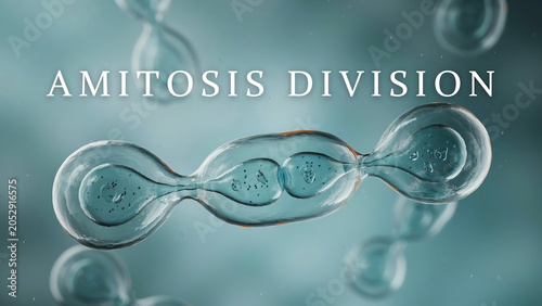 Amitosis cell division process with transparent cells and bubbles in a bluegreen liquid solution