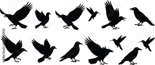 Foto Black Crow and Bird Silhouette Collection, Flying and Perching Poses, Raven Grou