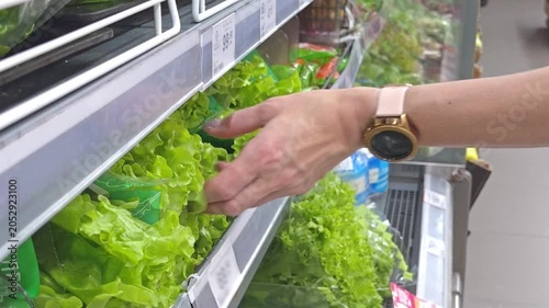 Shopper choosing fresh leaf lettuce in transparent packaging in the produce section of a store