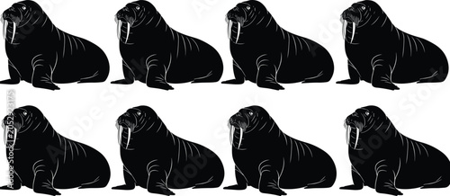 Foto Black silhouette of walrus silhouettes in a row, flat vector illustration set is