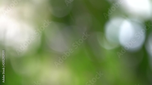 4K Abstract Green Bokeh Background. Defocused Nature Light Video. Ultra HD 4K video featuring a soft abstract green bokeh background with natural light and smooth defocused highlights.