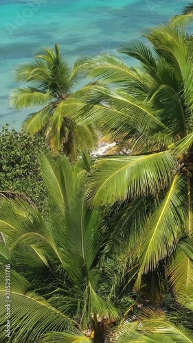 Tropical beach with coconut palm trees and azure caribbean sea. Beautiful landscape. Aerial view. Vertical footage
