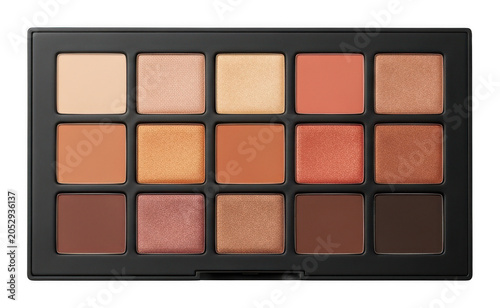 Professional makeup eyeshadow palette displaying matte and shimmering nude, brown isolated transparent background image
