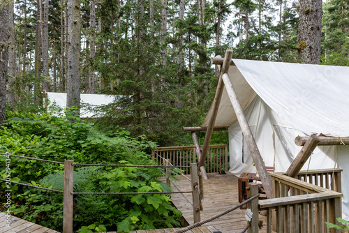 The forest with Glamping tents in Haida Gwaii
