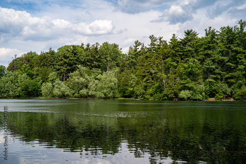 Bild auf Leinwand View of forest shoreline reflected on a lake in Canada.