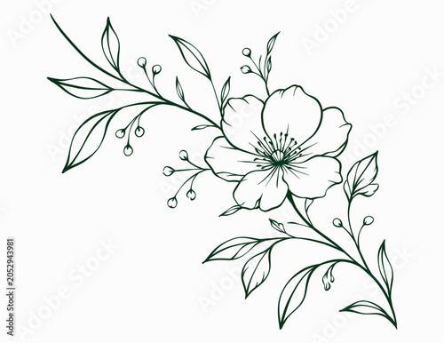 Hand Drawn Elegant Botanical Line Art Branch