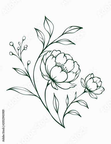 Hand Drawn Elegant Botanical Line Art Branch