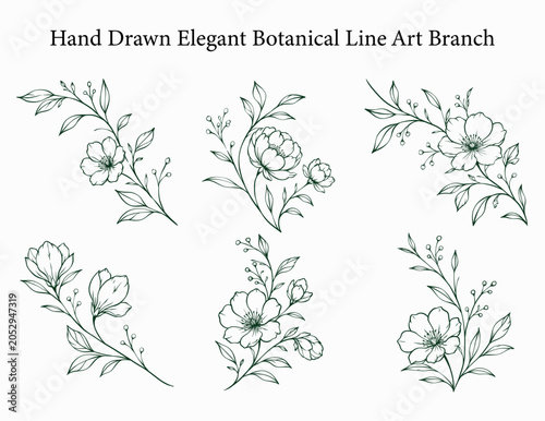 Hand Drawn Elegant Botanical Line Art Branch Collection Vector Set