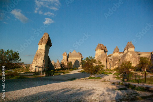 Mushroom-shaped fairy chimneys in Pasabag Monks Valley, Cappadocia.