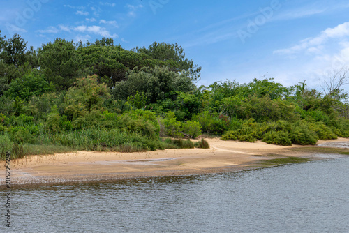 plage de la Hume, bordée de tamaris, bassin d'Arcachon