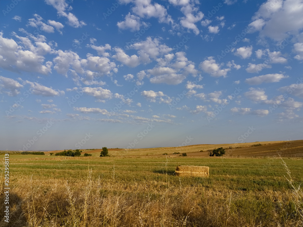 Fototapeta premium Wide open field with bales of hay under a cloudy sky in the afternoon light near a rural area