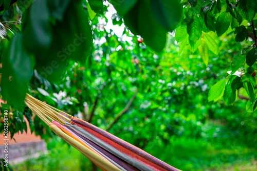 Fotografie Close up summer remote work, study online
