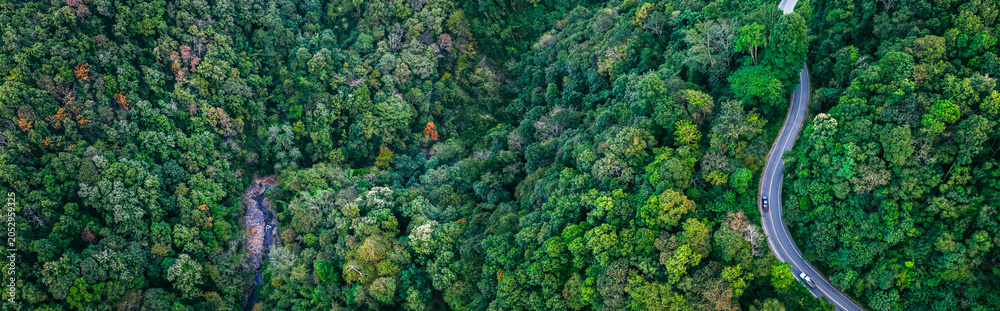 Obraz premium Aerial forest road surrounded by dense greenery representing sustainable mobility, ESG principles, and eco friendly infrastructure. Ideal for finance, environment, and corporate backgrounds.