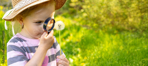 Little girl with a magnifying glass examining a dandelion in the summer park.