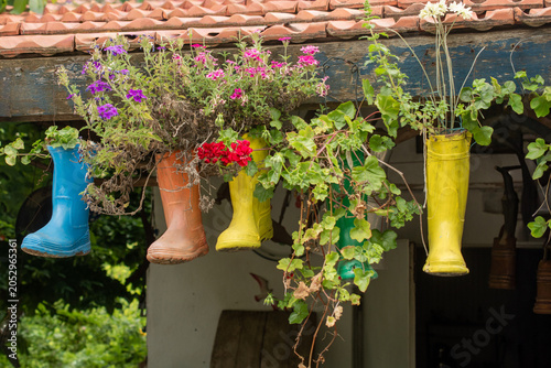 Colorful Rubber Boots Hanging As Creative Recycled Planters For Plants