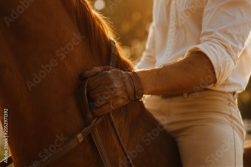 Man riding horse at sunset. Equestrian athlete holding leather rein in glove. Summer sport lifestyle and training activity. Concept of connection between human and animal in nature