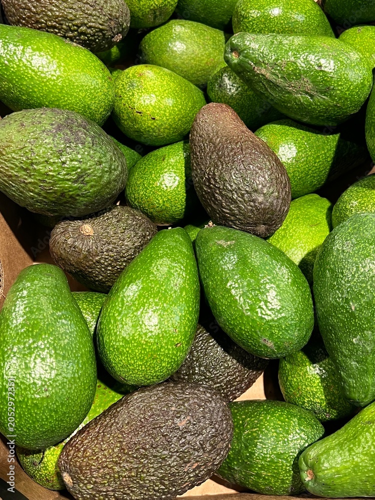Obraz premium Many green fresh avocados background