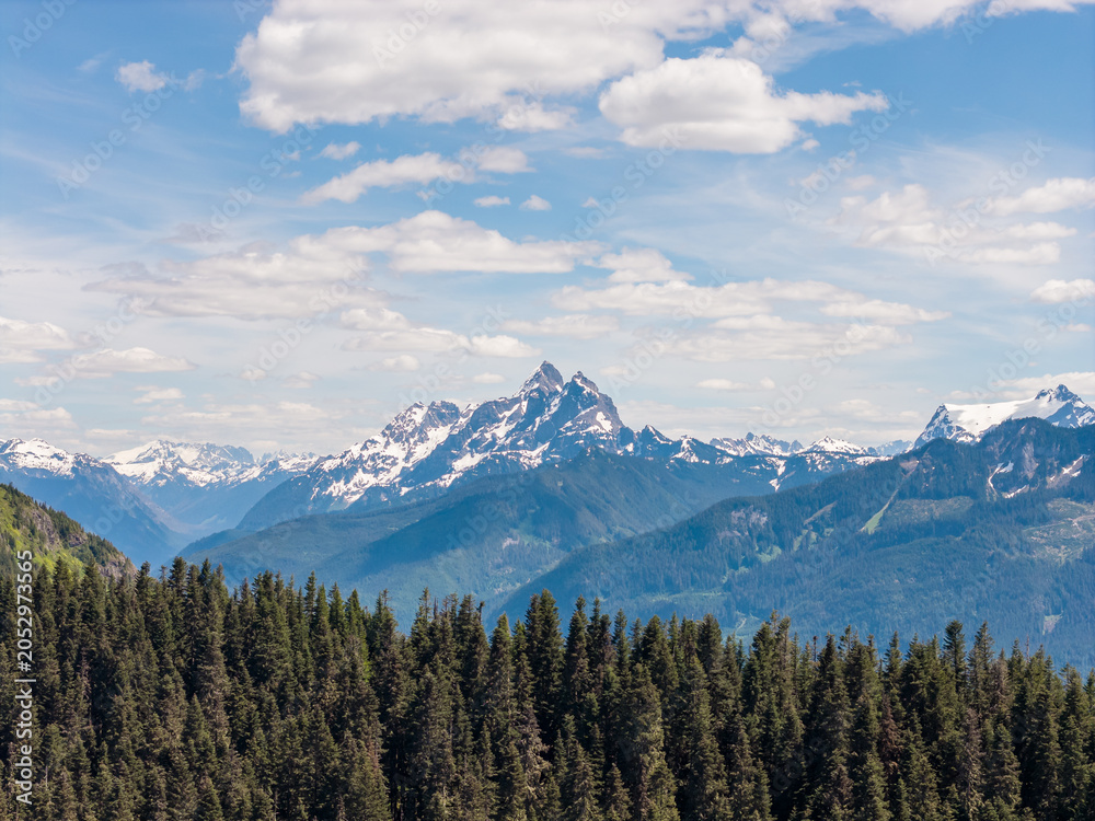 Fototapeta premium Snowcapped Mountain Range Above Evergreen Forest Under Blue Sky With Puffy Clouds Near Chilliwack, BC, Canada