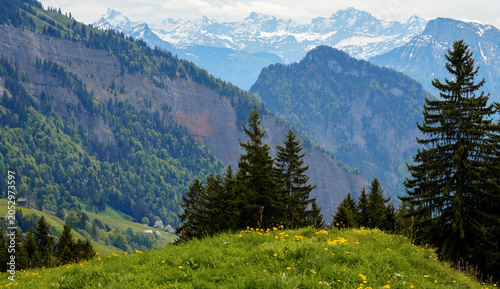 Scenic view of Swiss mountains with lush green hills and coniferous trees under a cloudy sky, showcasing the beauty of nature in the Swiss Alps region