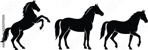 Slika na platnu Black Silhouette Horse Vector Set with Rearing Standing and Walking Poses for Eq