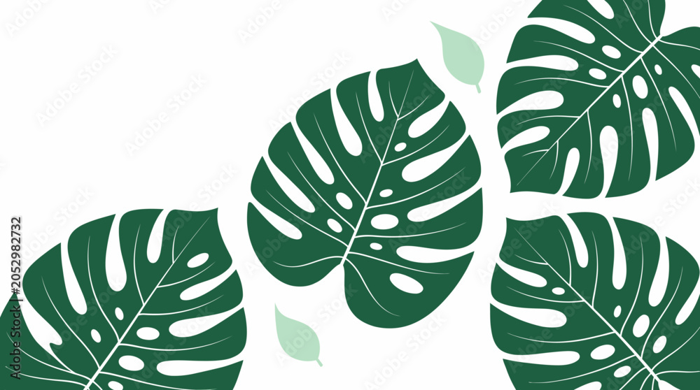Fototapeta premium Green Monstera leaves are arranged on a table with smaller leaves.